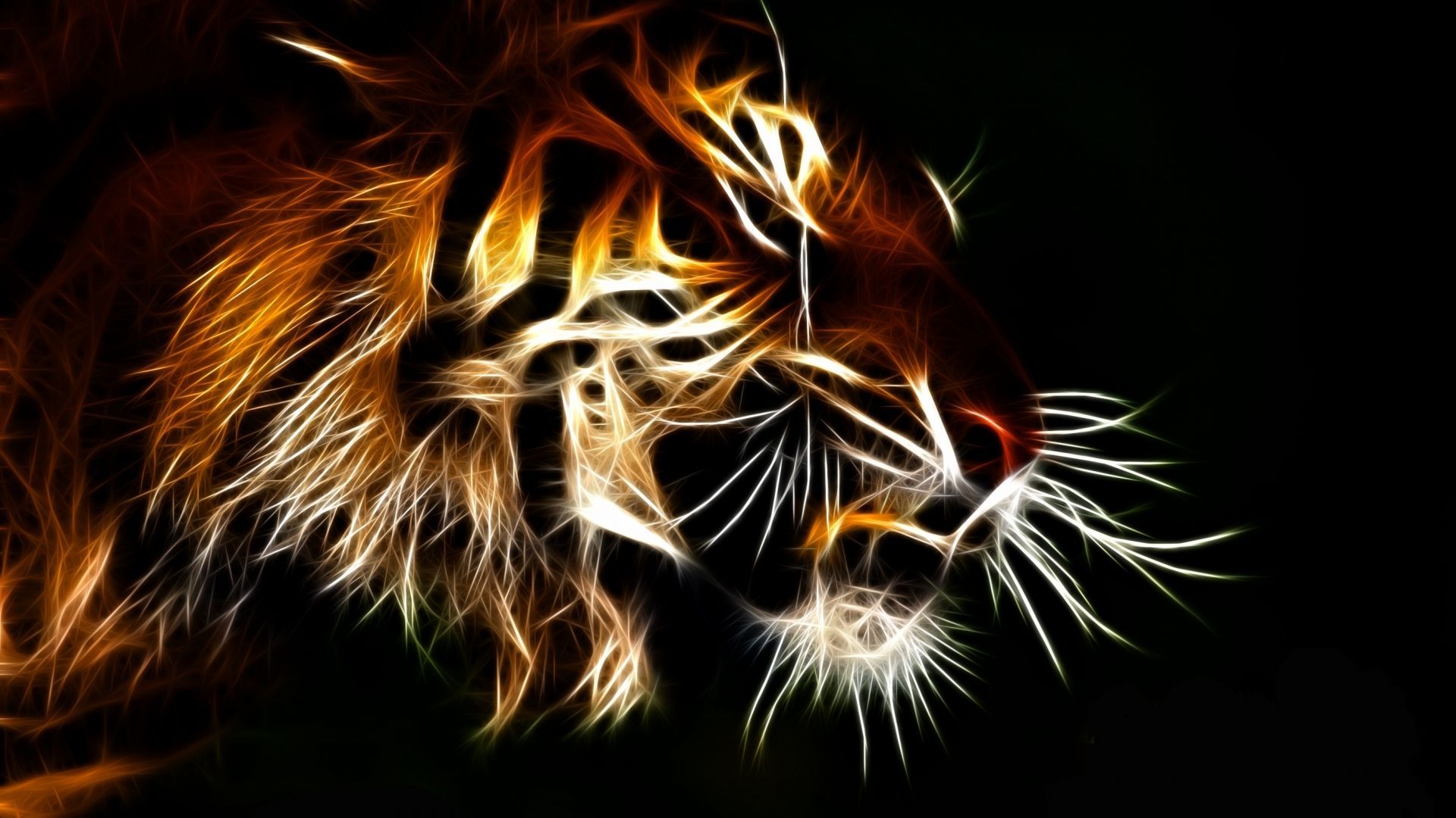 Translucent tiger abstract hd wallpaper Free hd wallpapers for