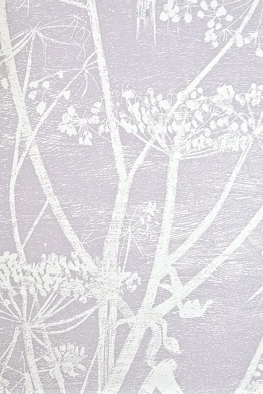 Cow Parsley Wallpaper Lilac Grey Cole and SonContemporary