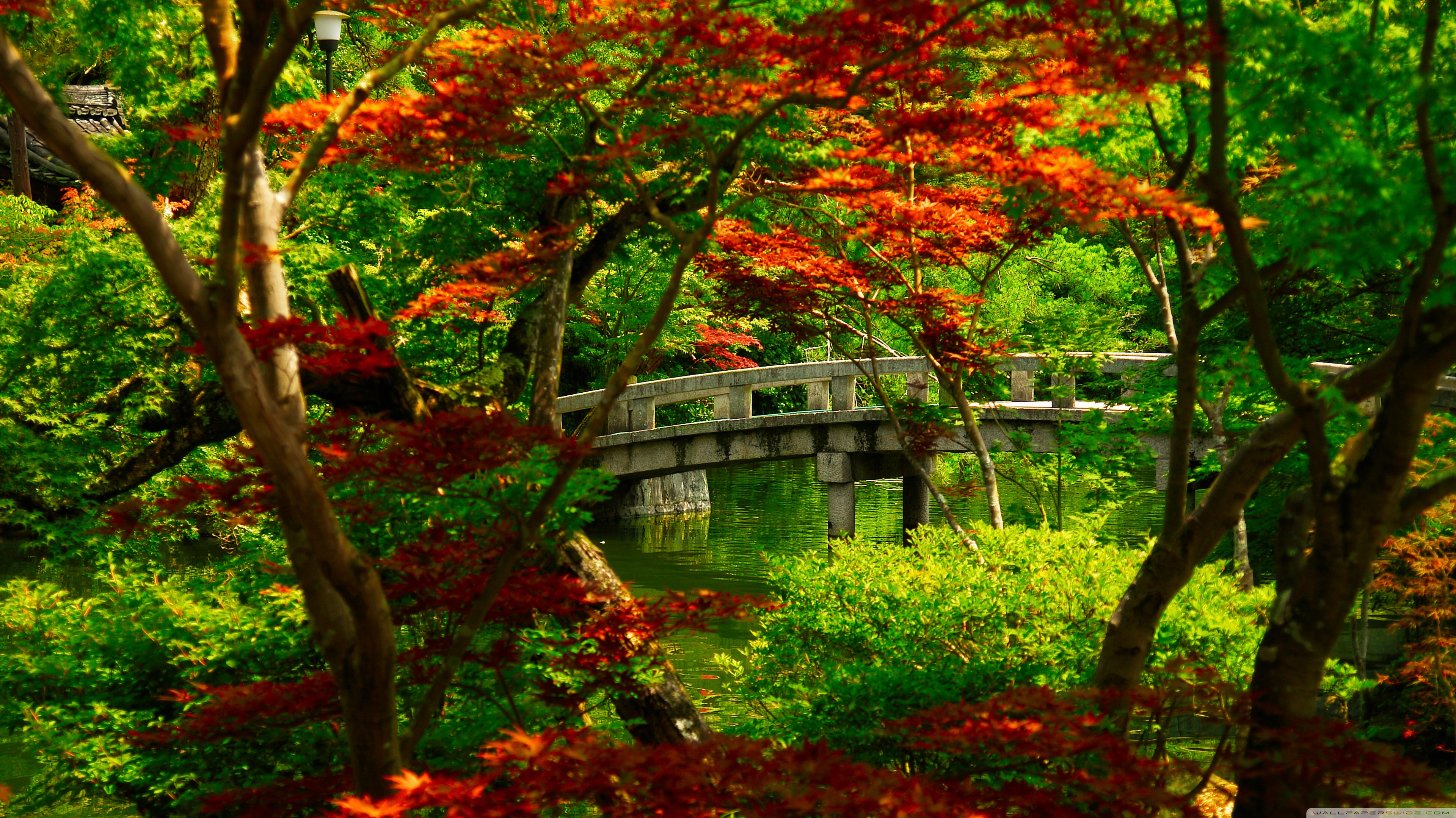 Japanese Garden Kyoto HD desktop wallpaper Widescreen High resolution