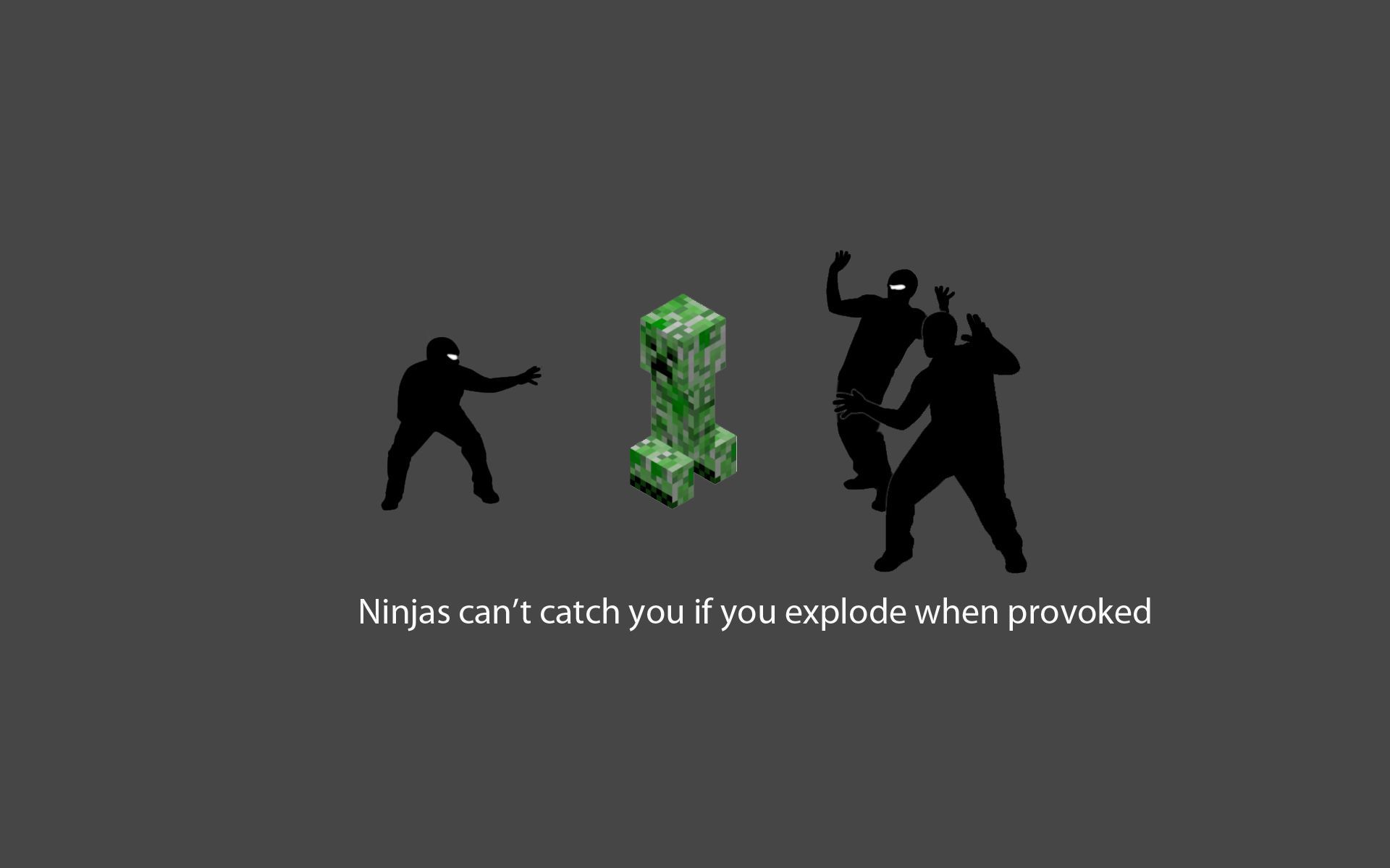 Ninjas cant catch you if minecraft wallpaper | 1920x1200 | 8960 ...