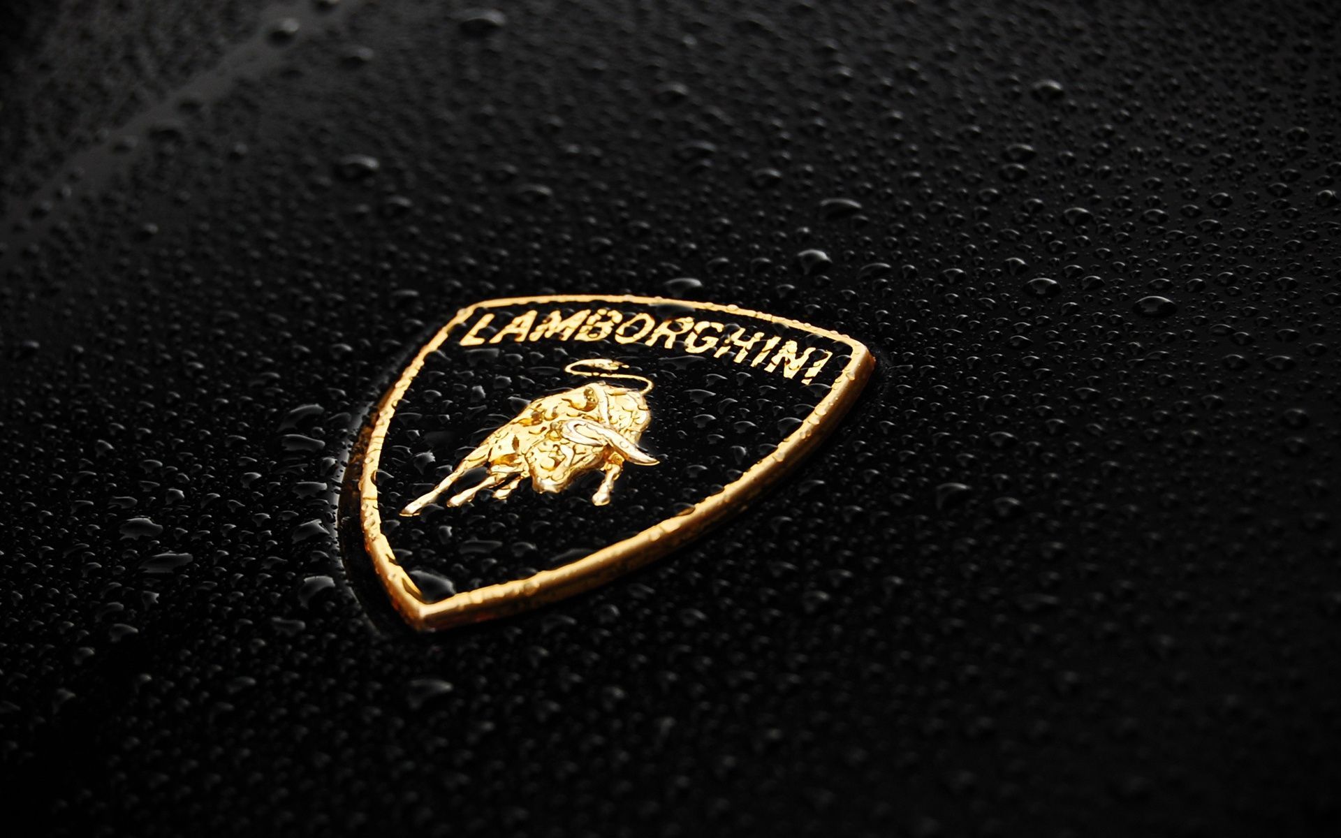 Lamborghini Logo Wallpaper HD Car Backgrounds