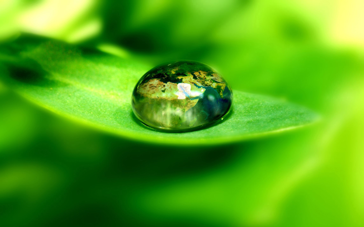 Download the World In A Raindrop Wallpaper, World In A Raindrop ...