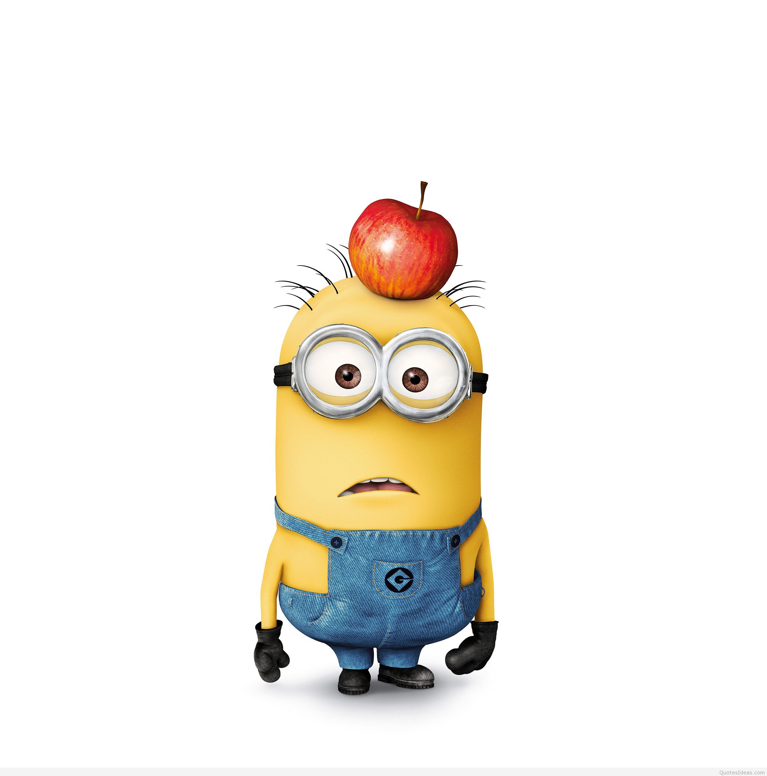 Minions Wallpapers Hd Group 86