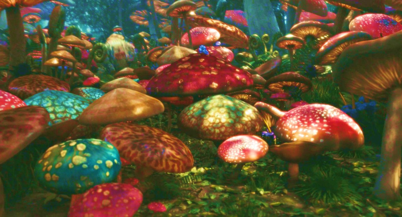 Featured image of post Mushroom Indie Desktop Wallpaper