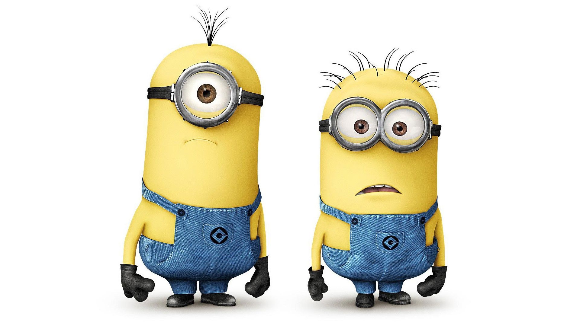 Despicable Me 2 Minions Wallpapers | HD Wallpapers