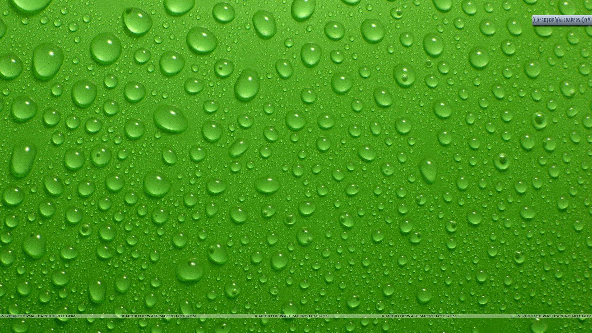 Green Background Images