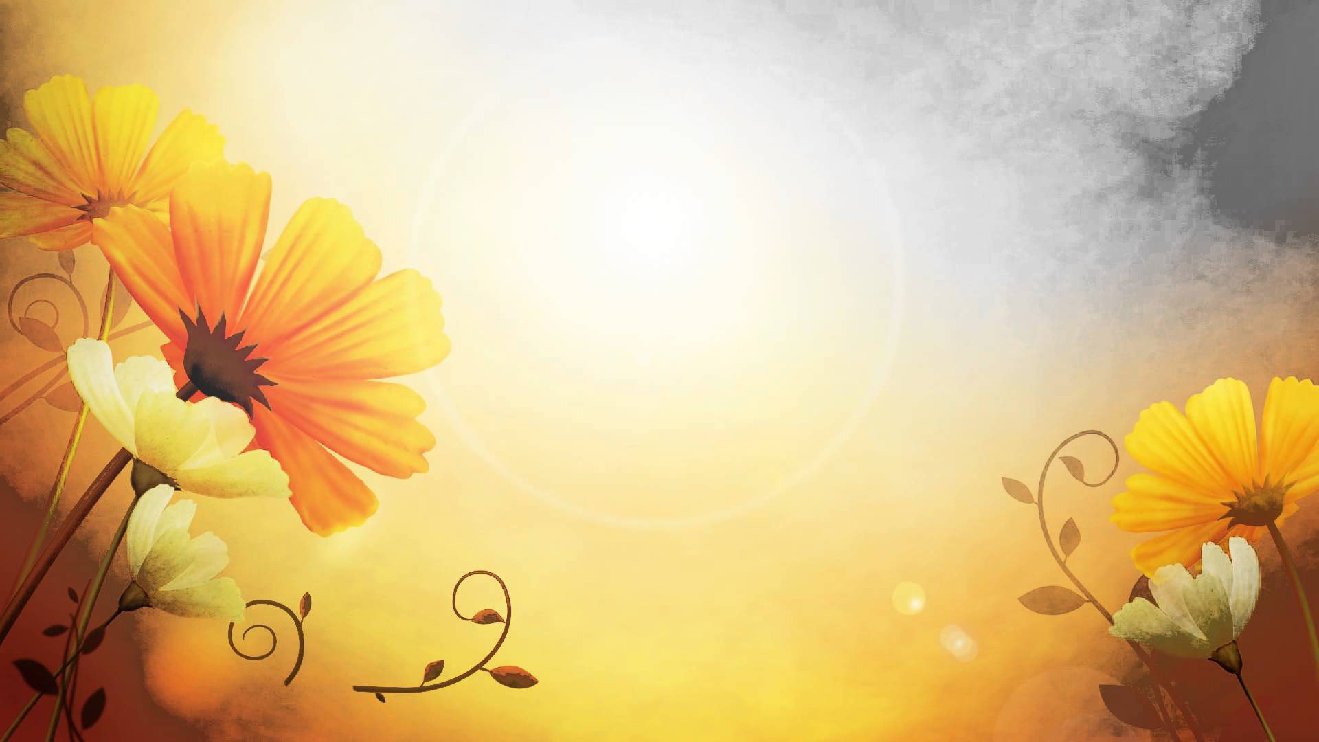Video Background HD - Flower HD - Style Proshow - styleproshow.org ...