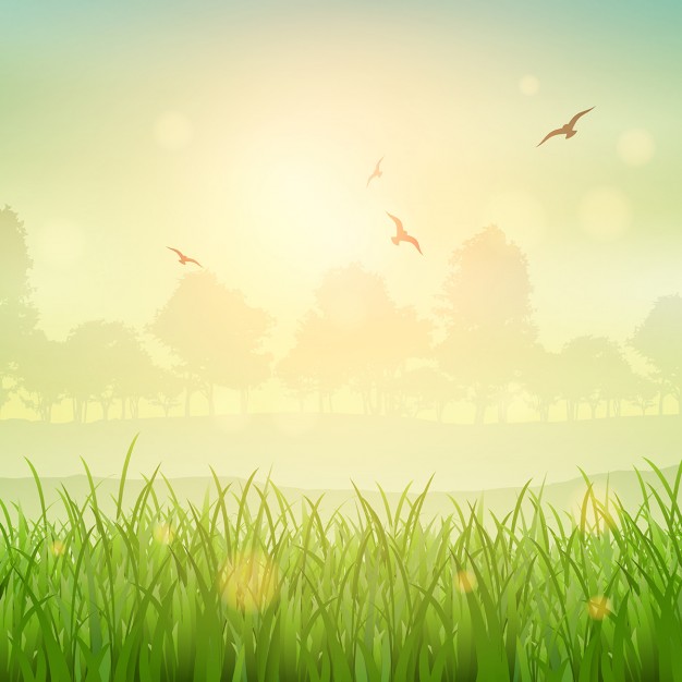 Nature Background Vectors, Photos and PSD files | Free Download