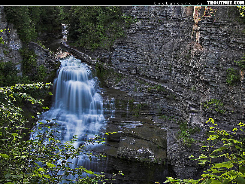 Free Desktop Backgrounds (Hi-res Nature Photography)