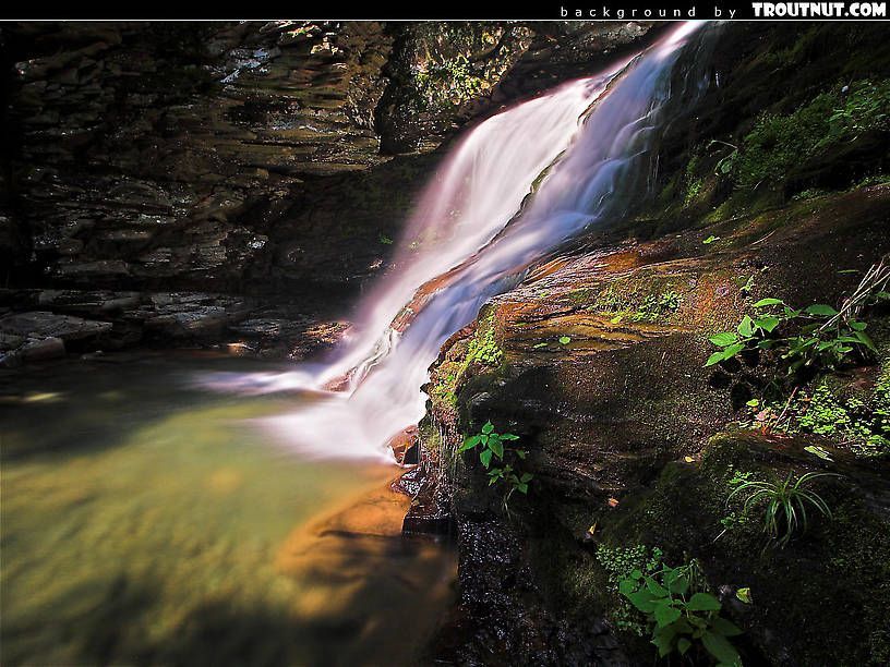 Free Desktop Backgrounds (Hi-res Nature Photography)