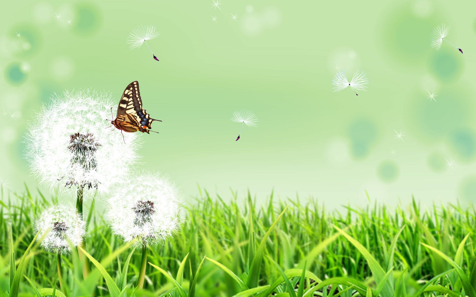 Free Wallpaper Of Natural Scenery: A Brown Butterfly Flying In The ...