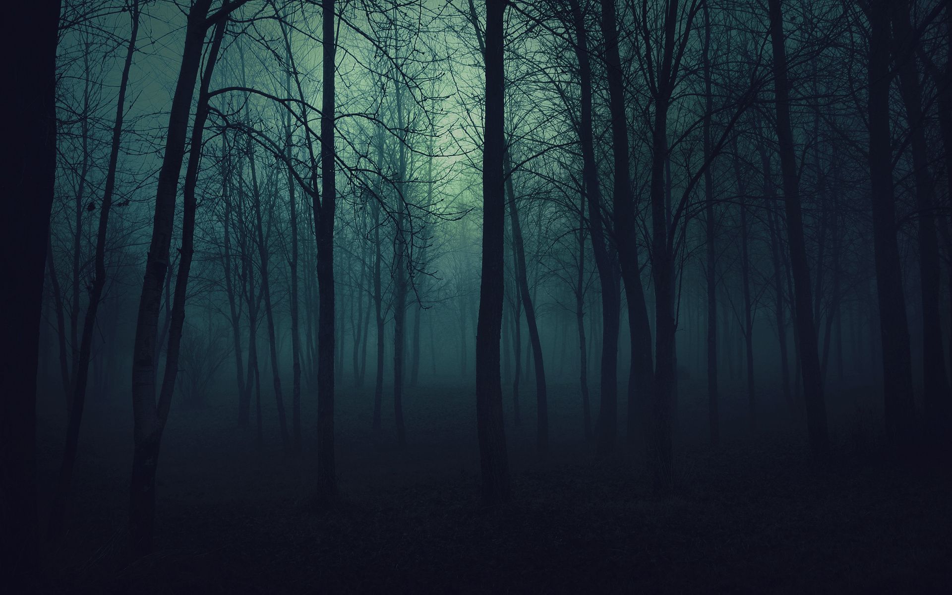 Dark Forest HD Wallpapers, Dark Forest Background | Cool Wallpapers