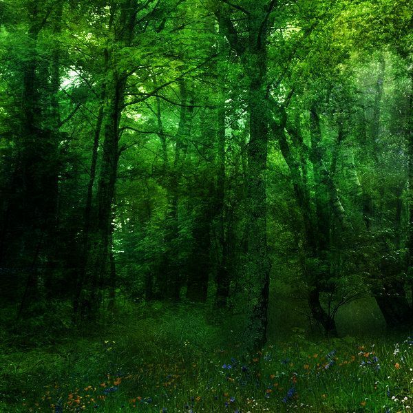 Green Forest Background by frozenstocks on DeviantArt