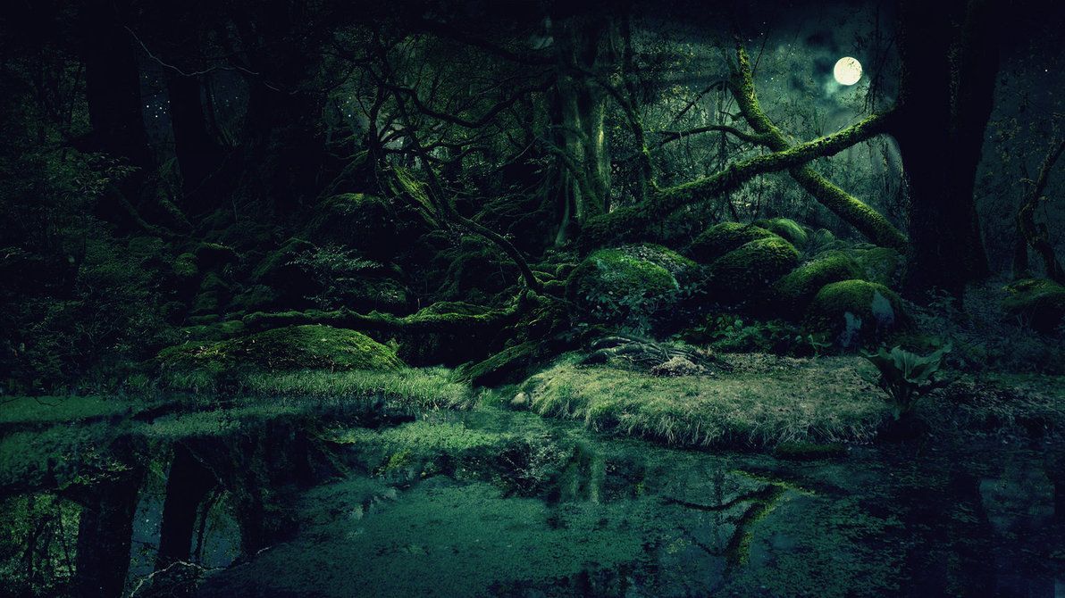 Forest background by Vashar23 on DeviantArt