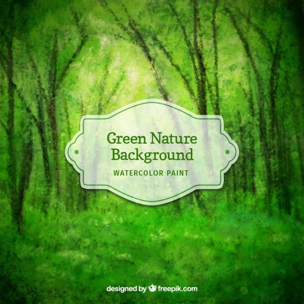 Forest background Vector | Free Download