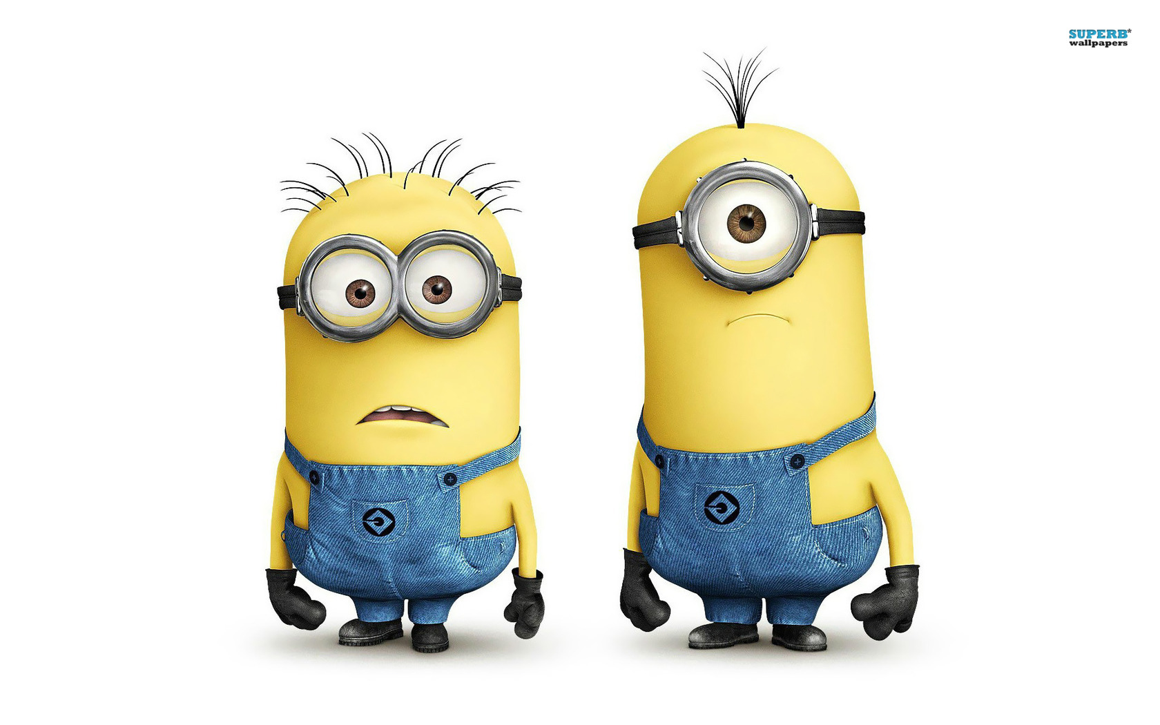 tim and phil - despicable me - minions free wallpaper - Cool ...