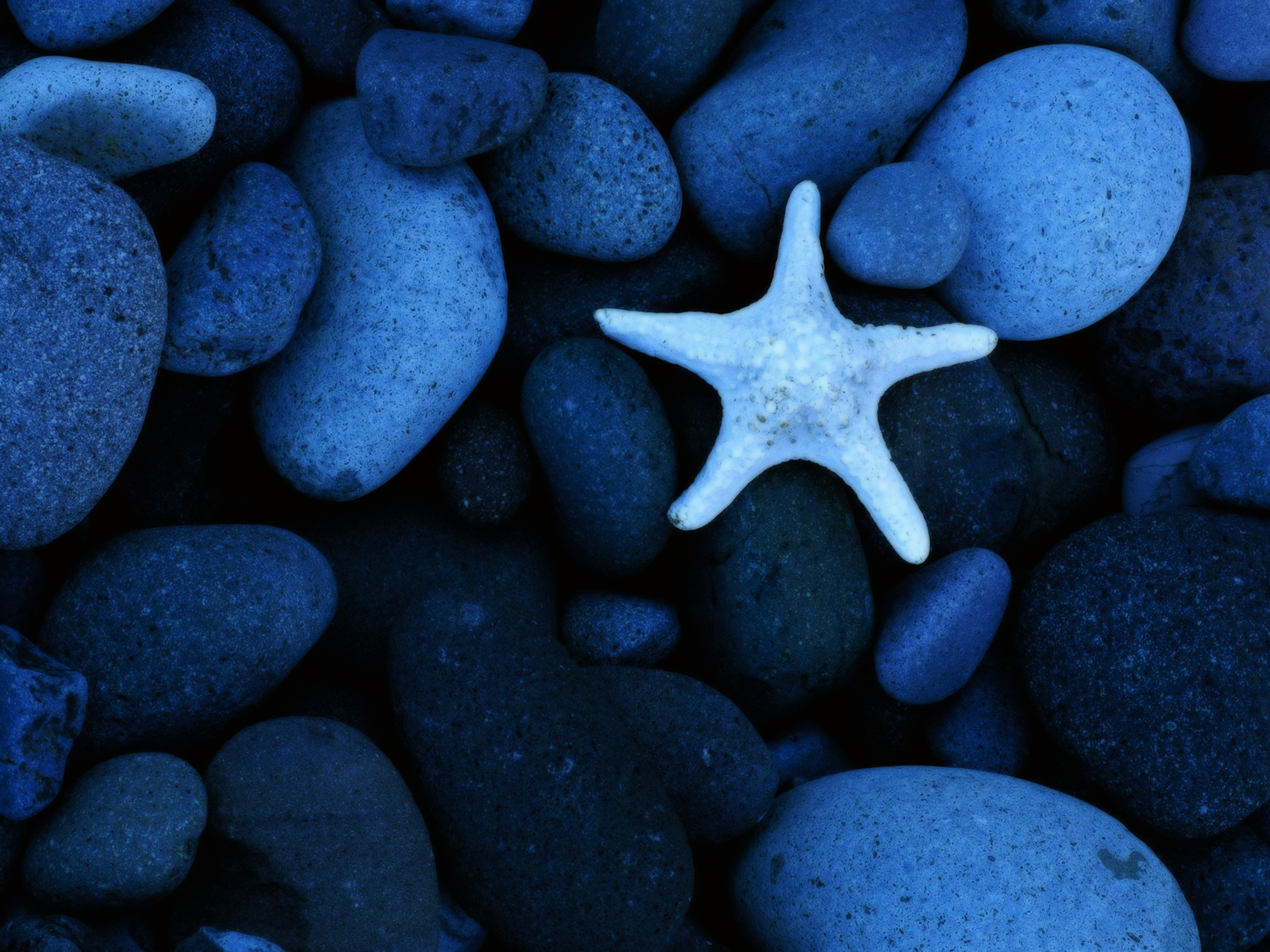 Обои stone. Морские камни. Красивые морские камни. Голубой морской камень. Морские камушки.