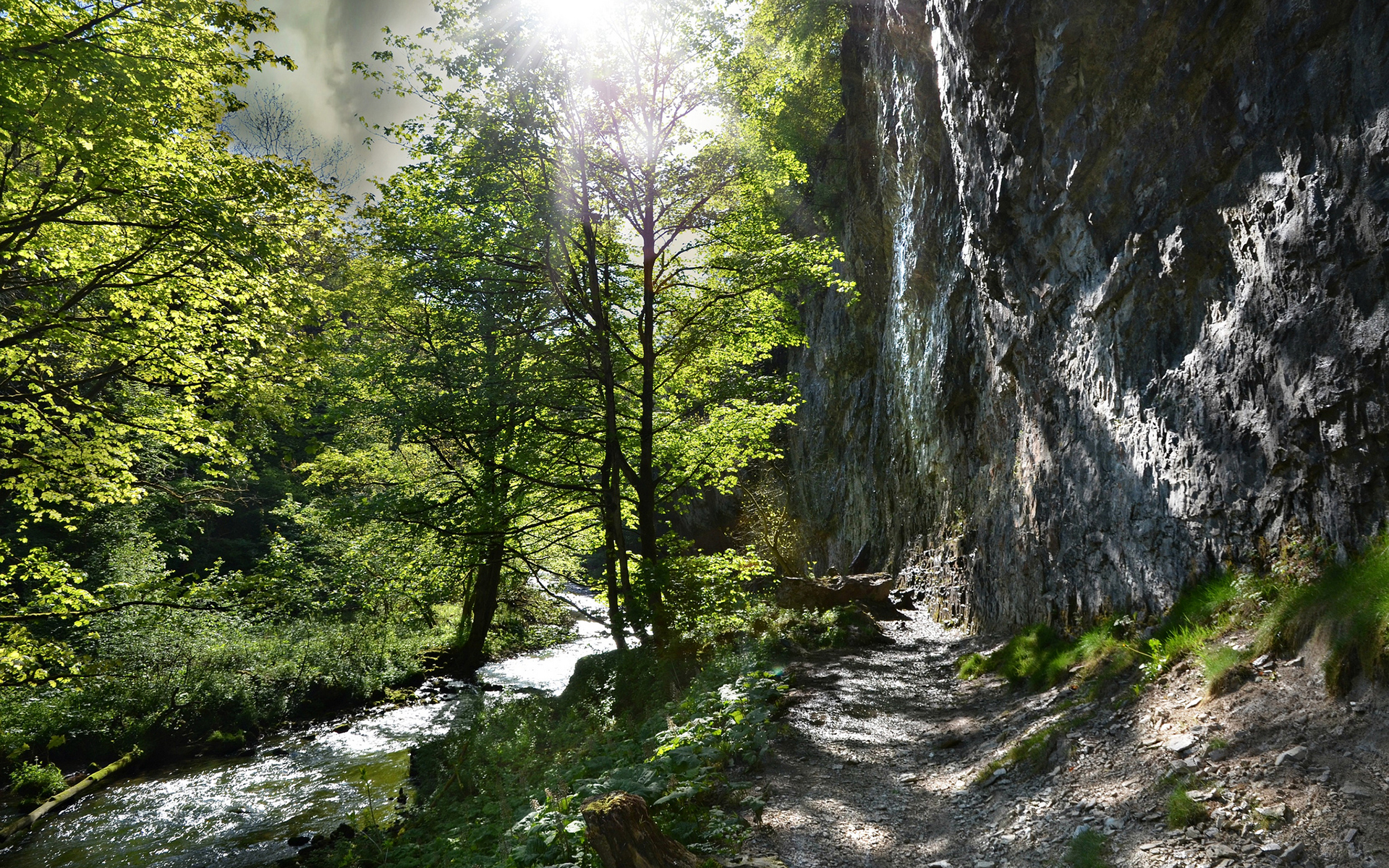 Sunlight Path Trail Forest River Trees Rock Stone wallpaper ...