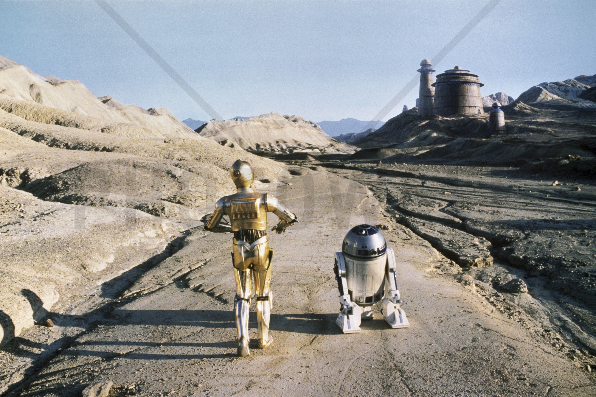 Star Wars - R2-D2 and C-3PO Tatooine - Wall Mural & Photo ...