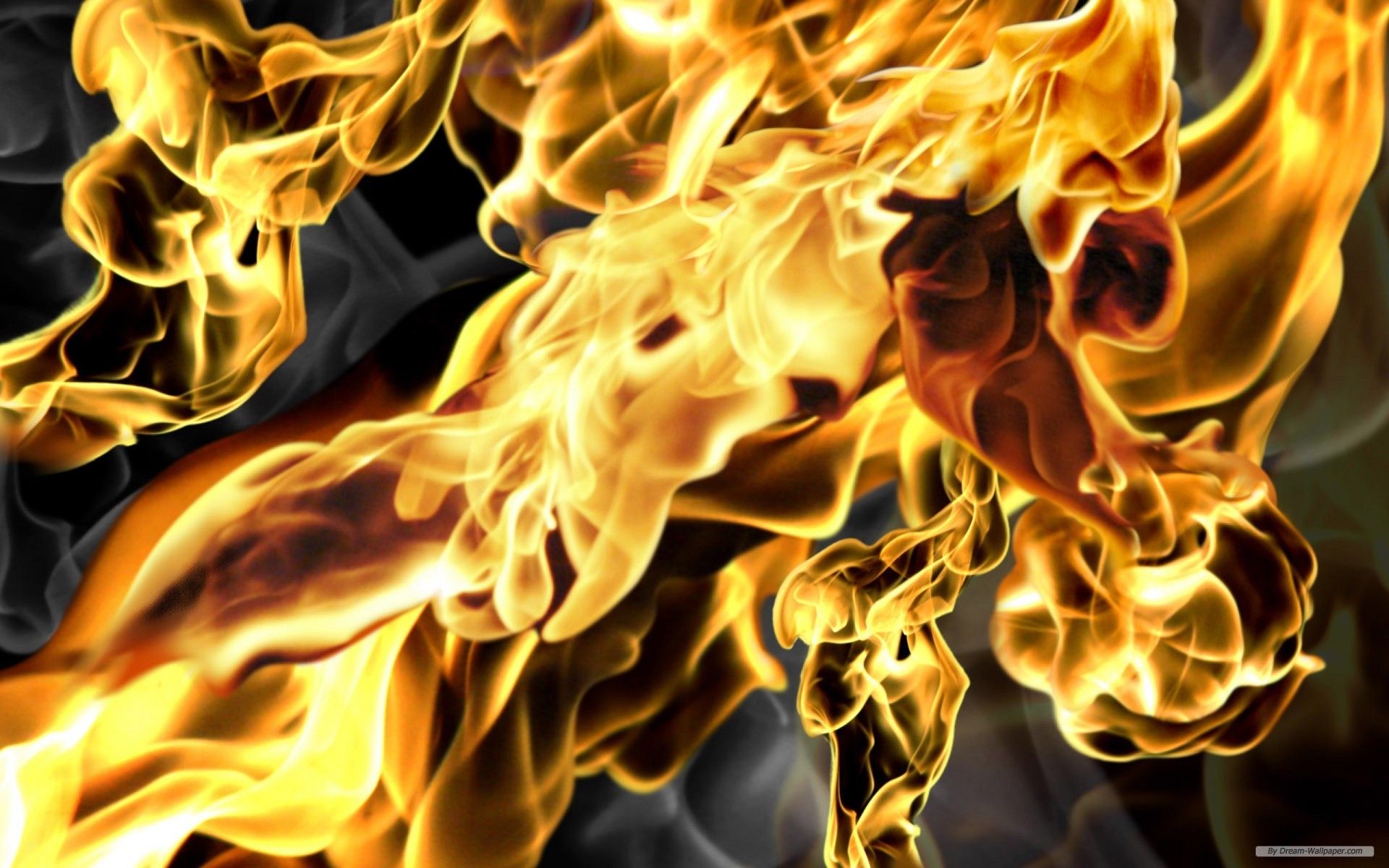 Free Wallpaper - Free Photography wallpaper - Close up flame 3