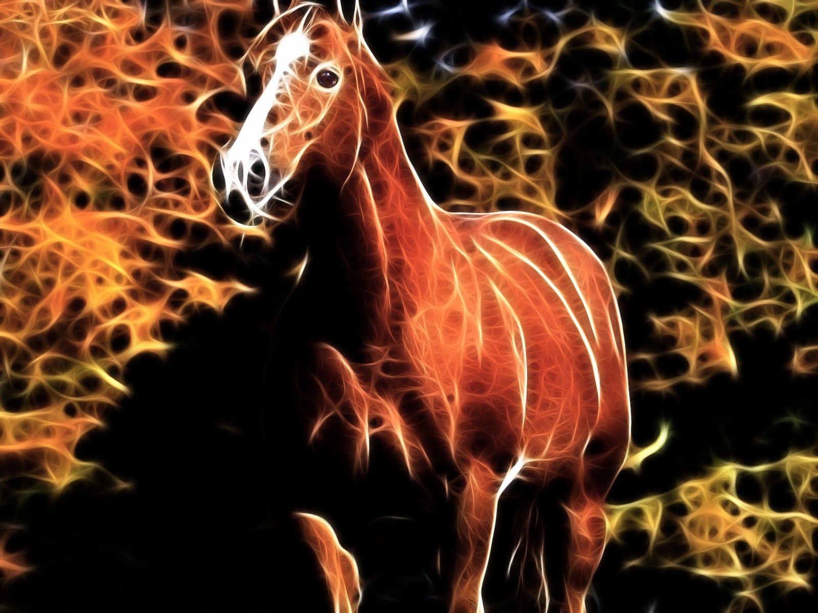 Flame Horse Animal Flames Wild Horses Free Desktop Wallpaper ...