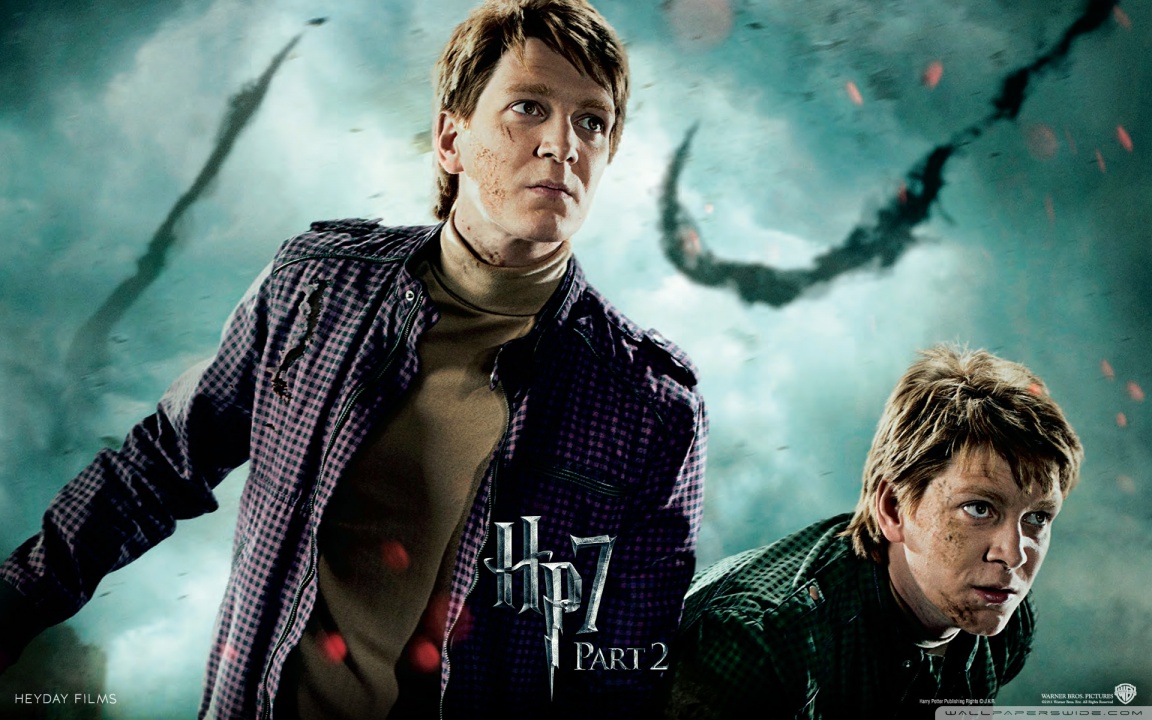 Harry Potter And The Deathly Hallows Part 2 Twins HD desktop wallpaper