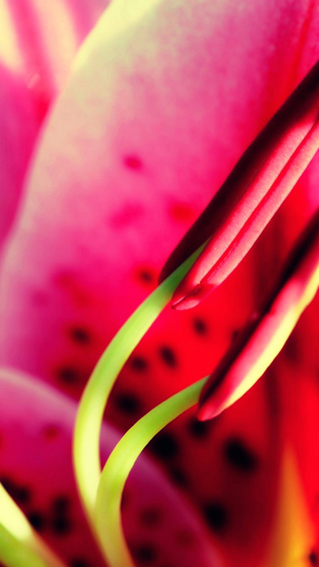 15 Awesome LG G Flex Wallpapers