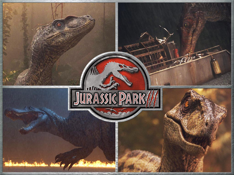 Image - Jurassic Park 3 Wallpaper 2 800 1 - Jurassic Park