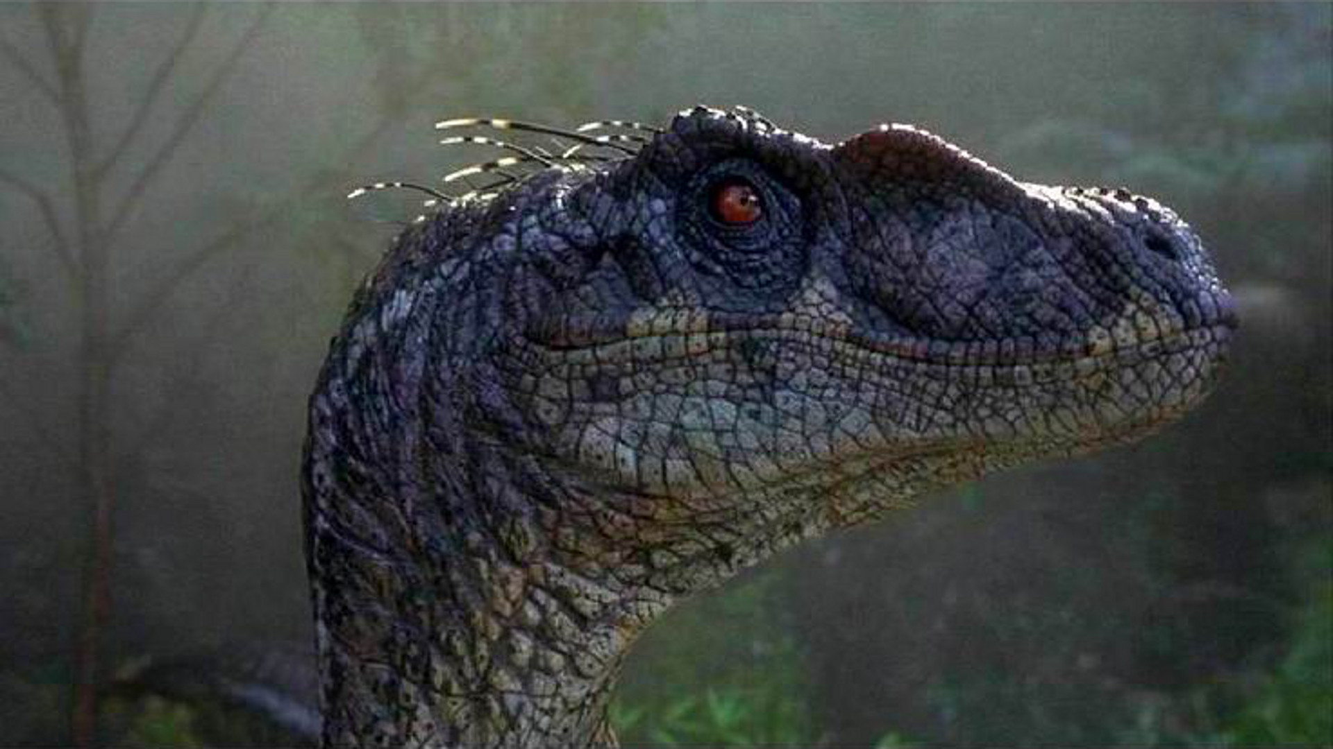 Jurassic Park III brings the original trilogy to an end with a