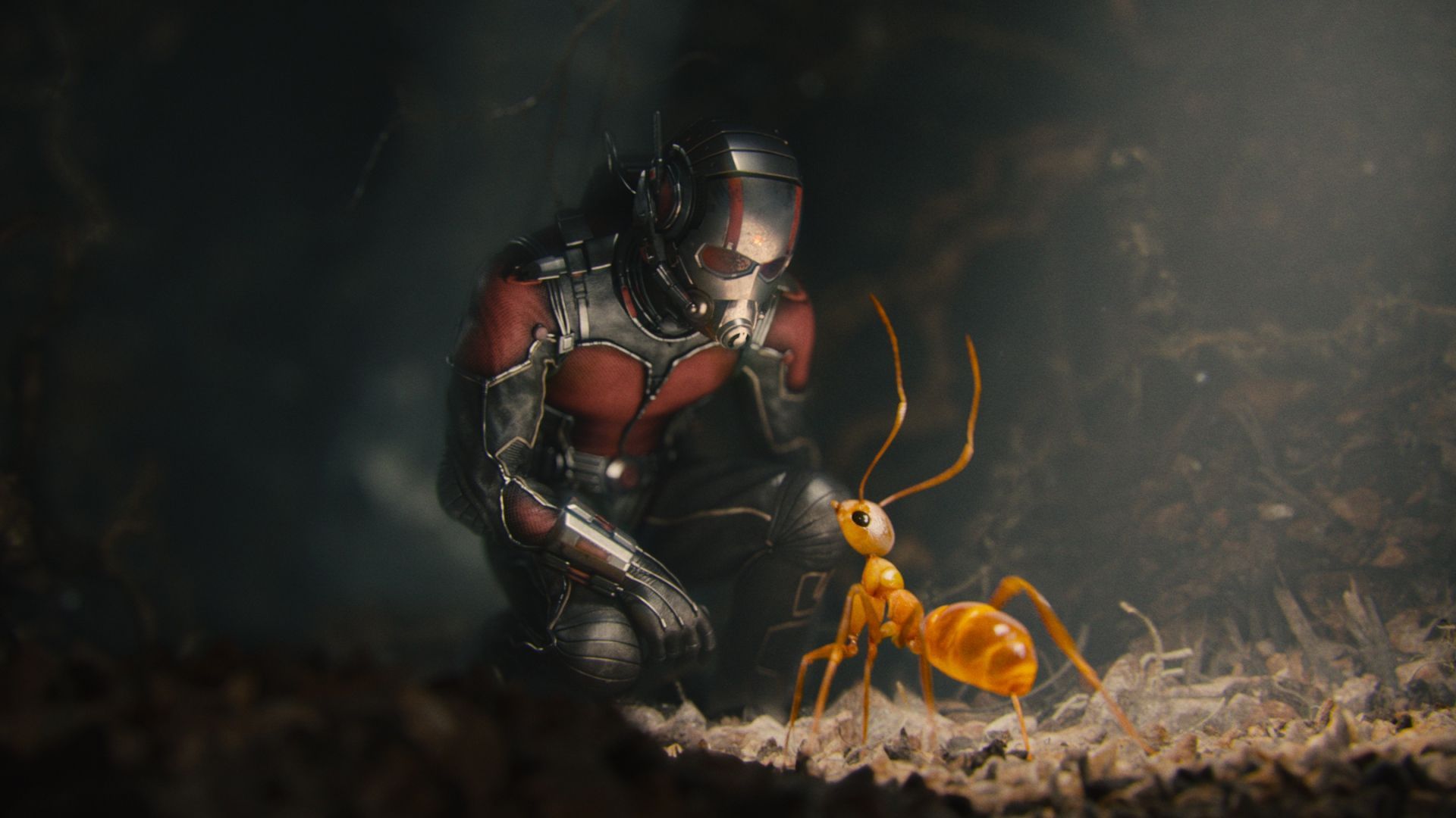 Download Wallpaper 1920x1080 Ant-man, Marvel, Ant Full HD 1080p HD ...