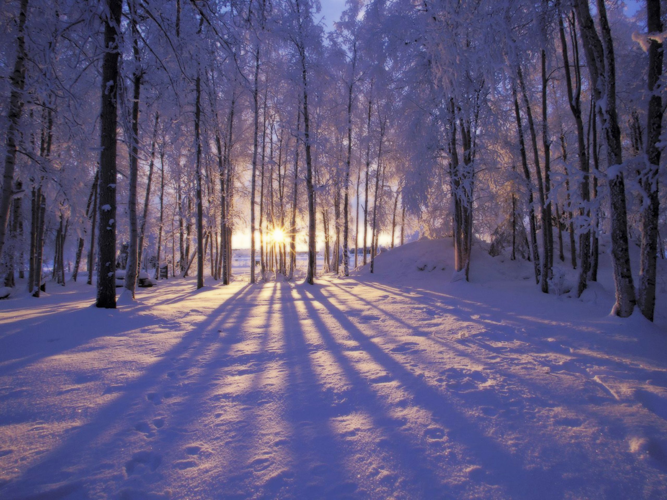 Winter Scenes for Desktop Backgrounds