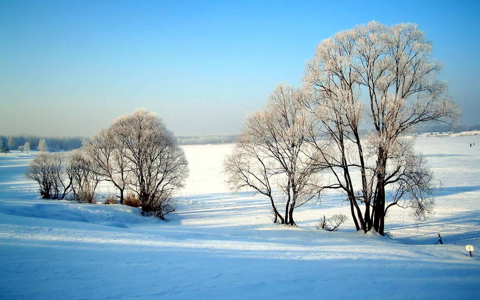 16001050 Widescreen Winter Snow Scenery - Dreamy Winter Snow