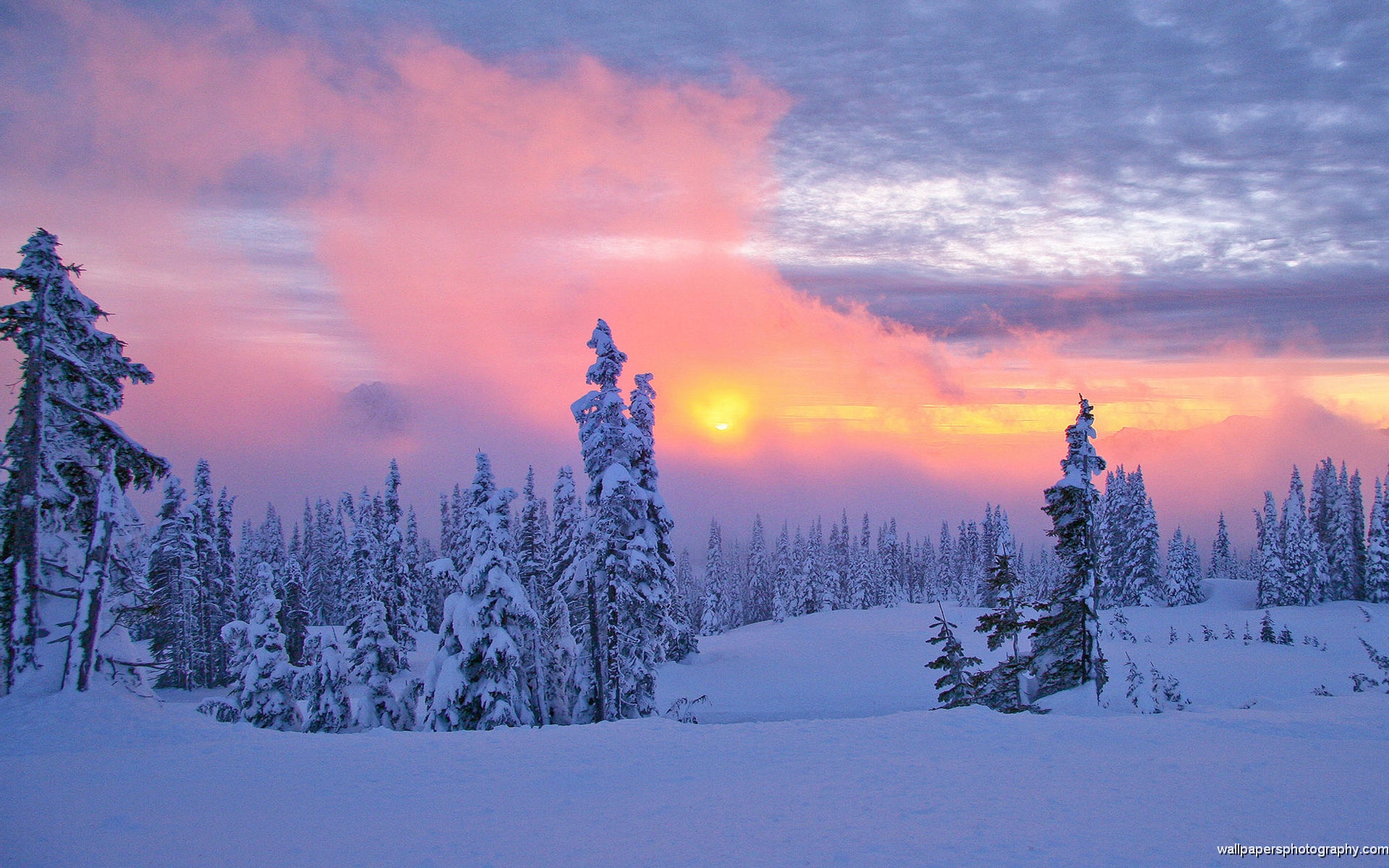 Snow Scenes Sunset HD Wallpaper | Wide Screen Wallpaper 1080p,2K,4K