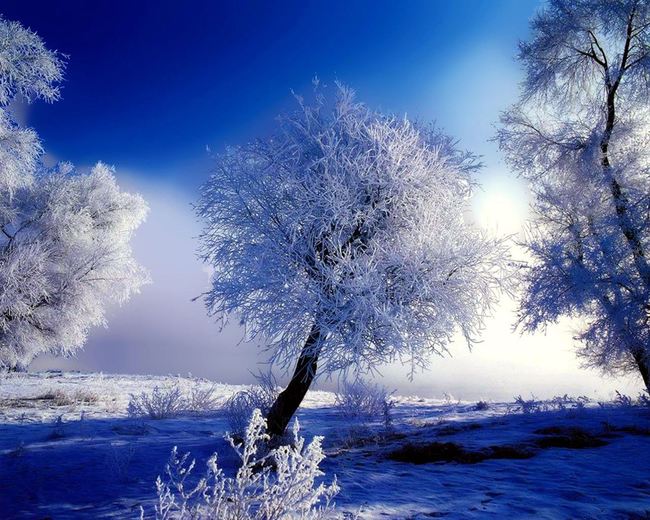 Snow Scenery HD Wallpaper 1920x1080 ID56947