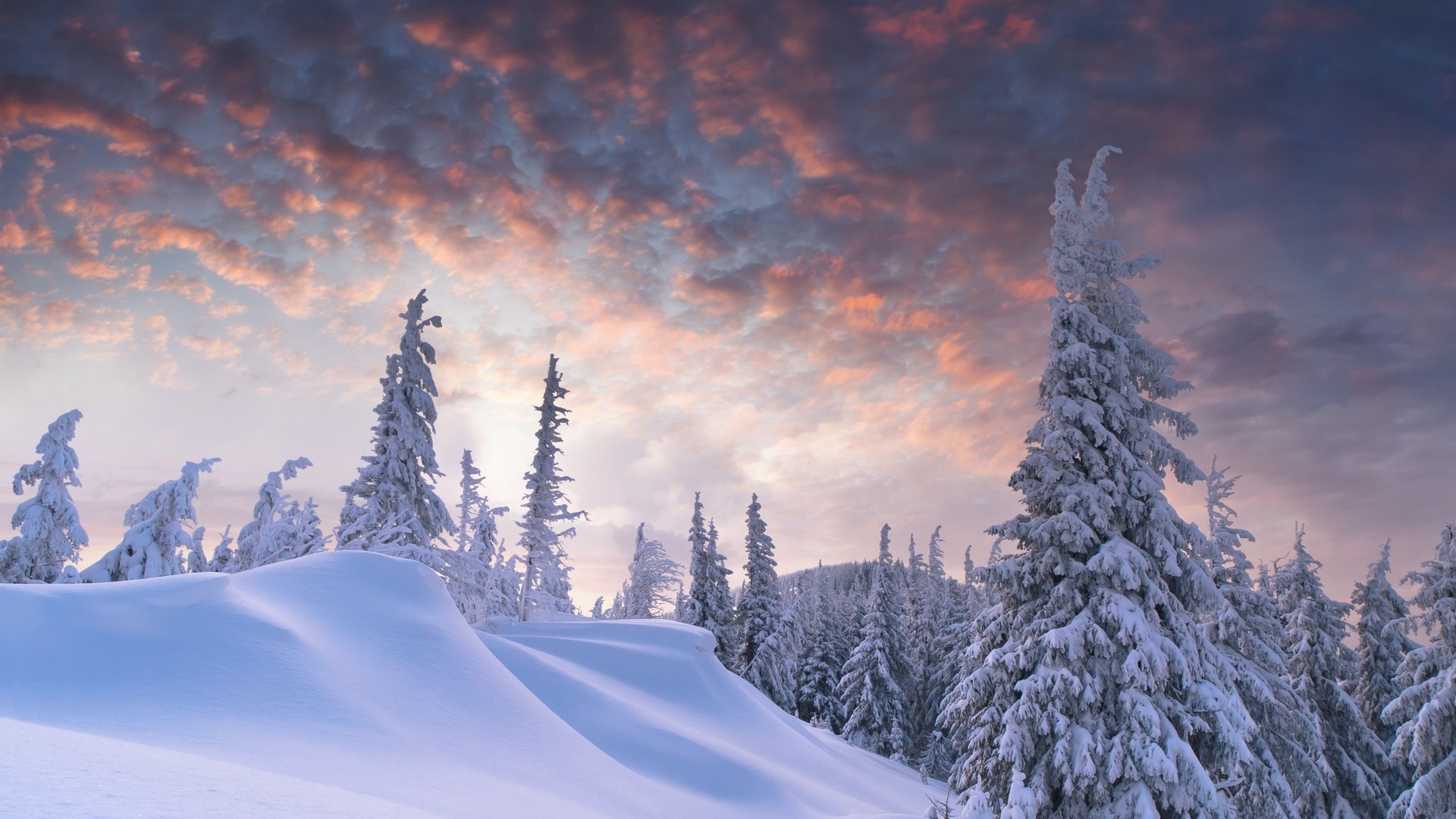 winter snow scene wallpapers - images - tbwnz.com