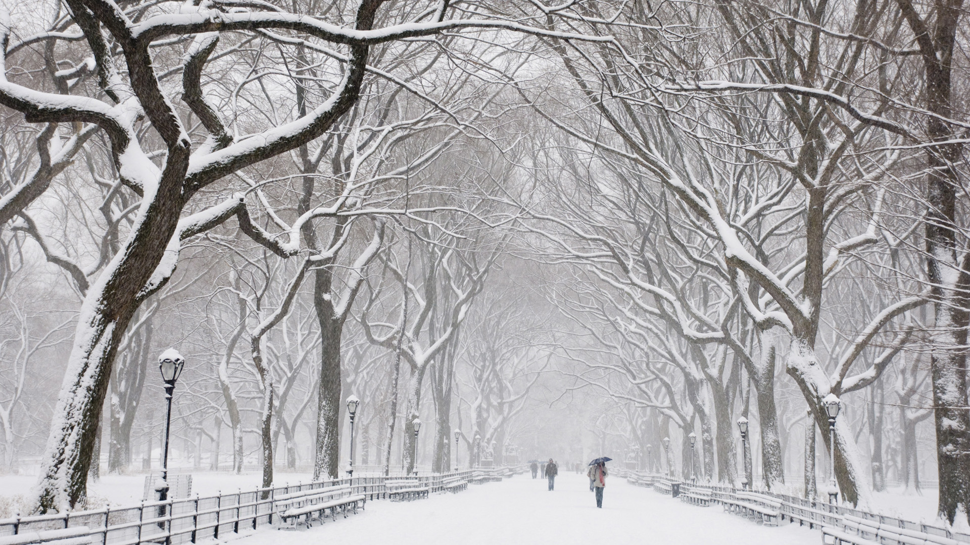 Beautiful Snow, scenes, 1920x1080 HD Wallpaper and FREE Stock Photo