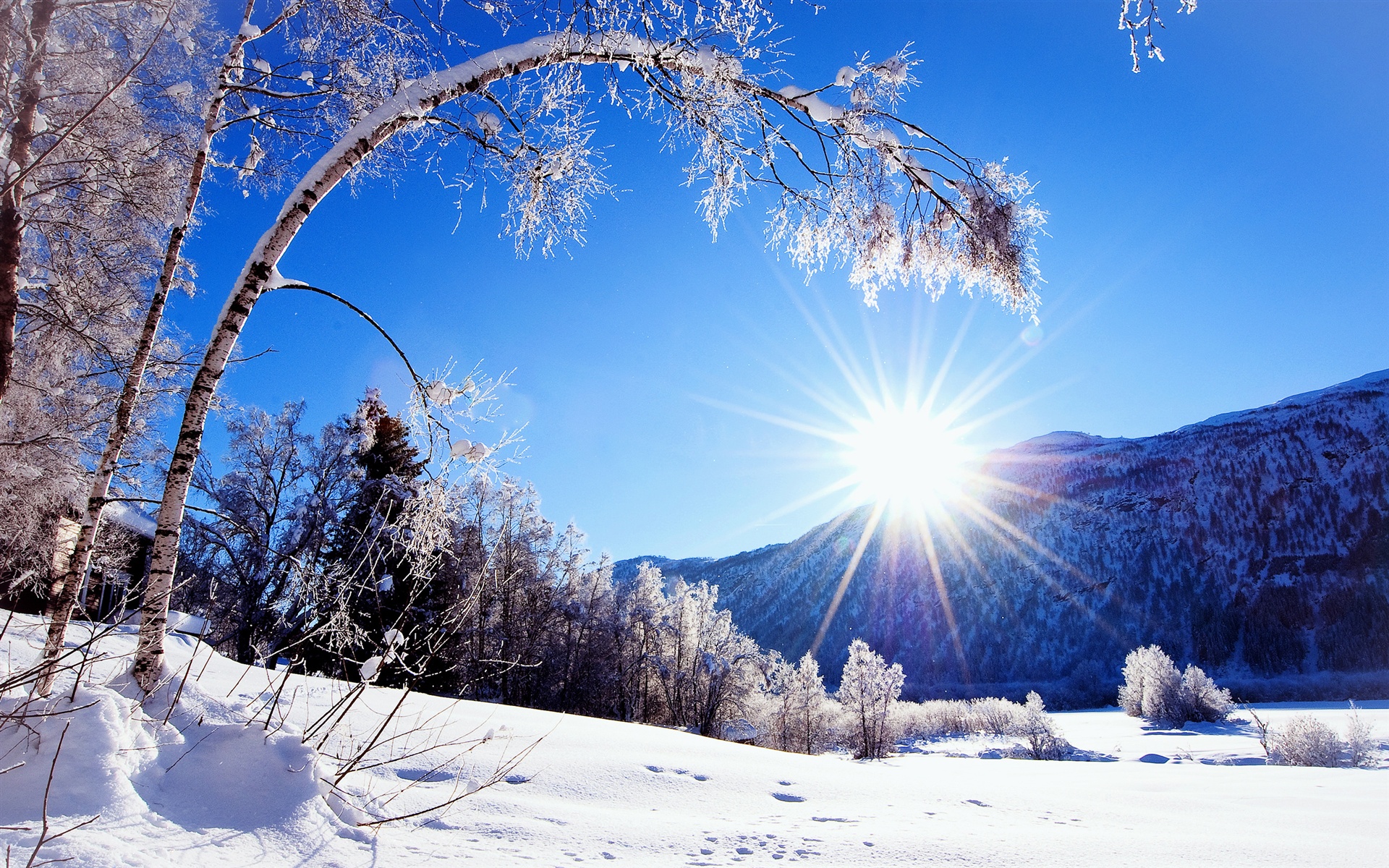 Winter, snow, mountains and trees, white scenery, dazzling ...