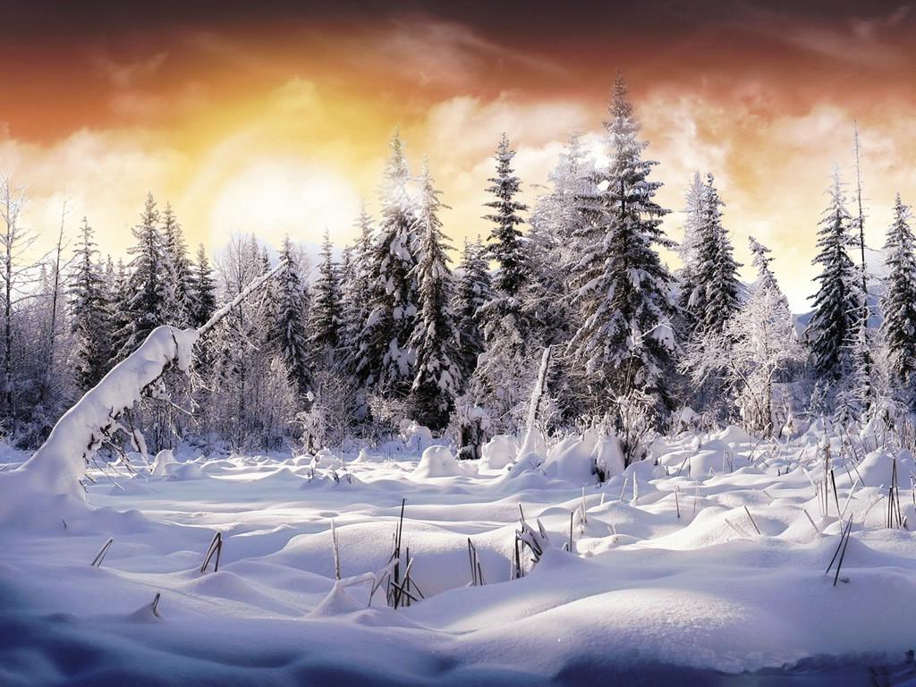 Winter Scene Wallpapers | HD Wallpapers Range