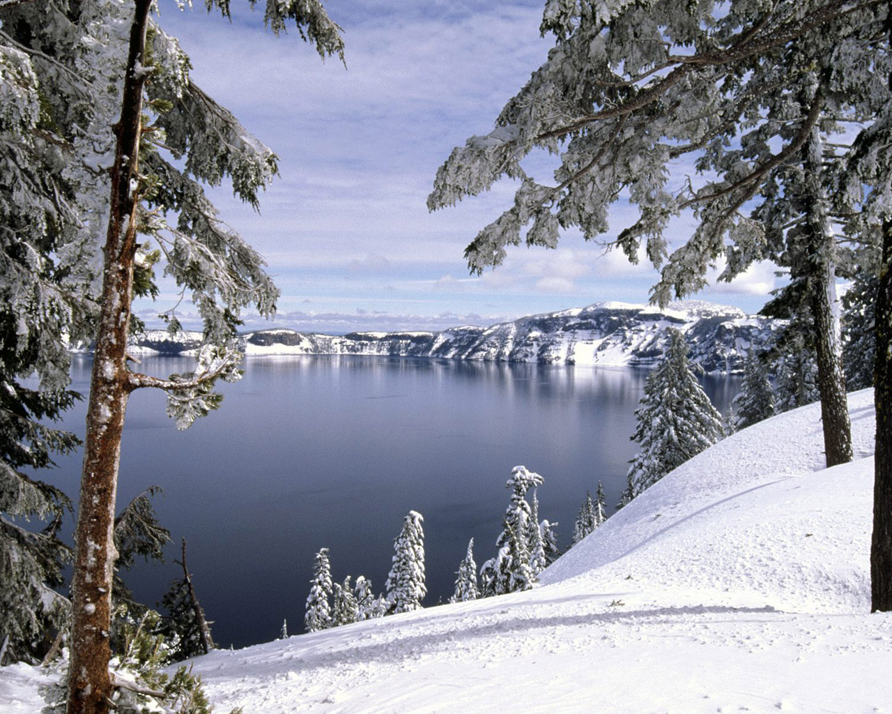 Winter wonderland : Dreamy Snow Scene wallpaper 1280x1024 NO.44 ...