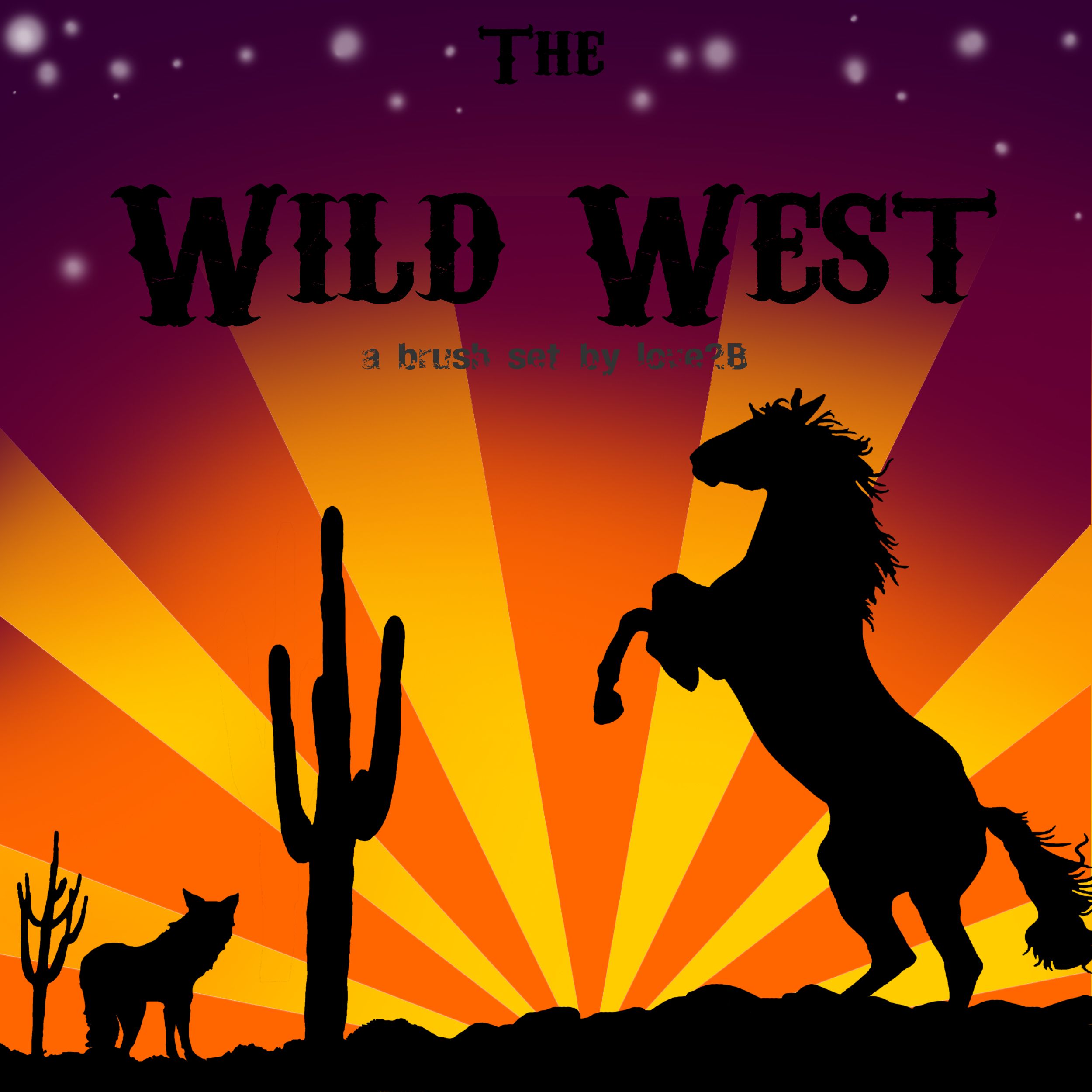 DeviantArt More Like wild west brushes by Love2B