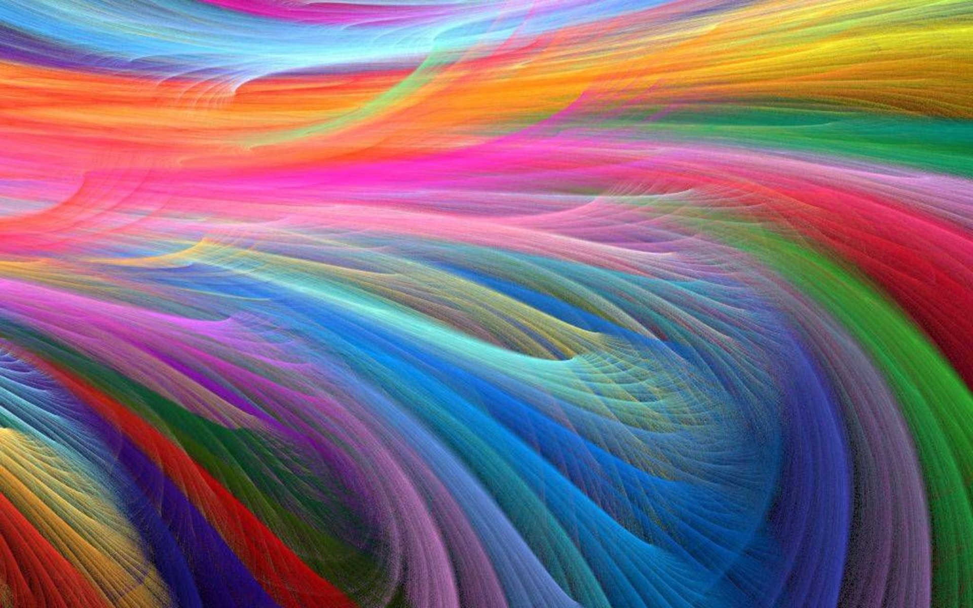 Colorful feathers wallpaper | danaspdi.top