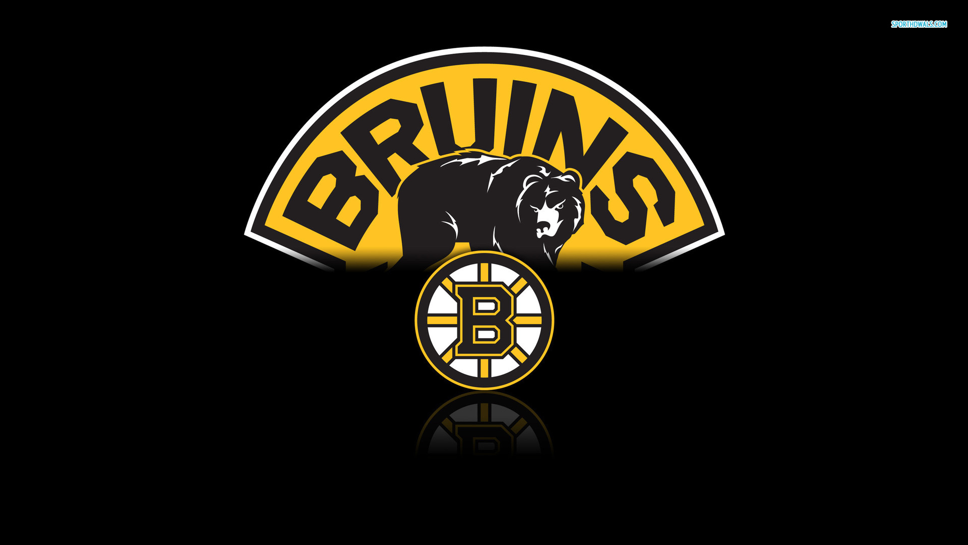 High Quality Boston Bruins Wallpaper | Full HD Pictures