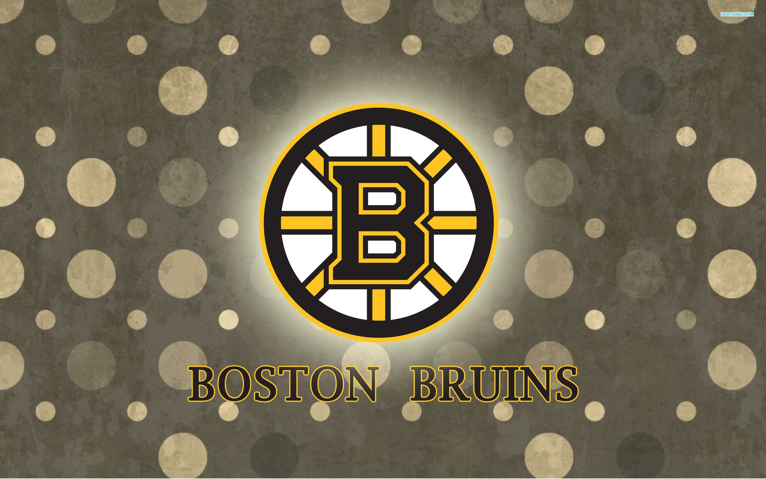 Bruins wallpaper | 2560x1600 | #69174