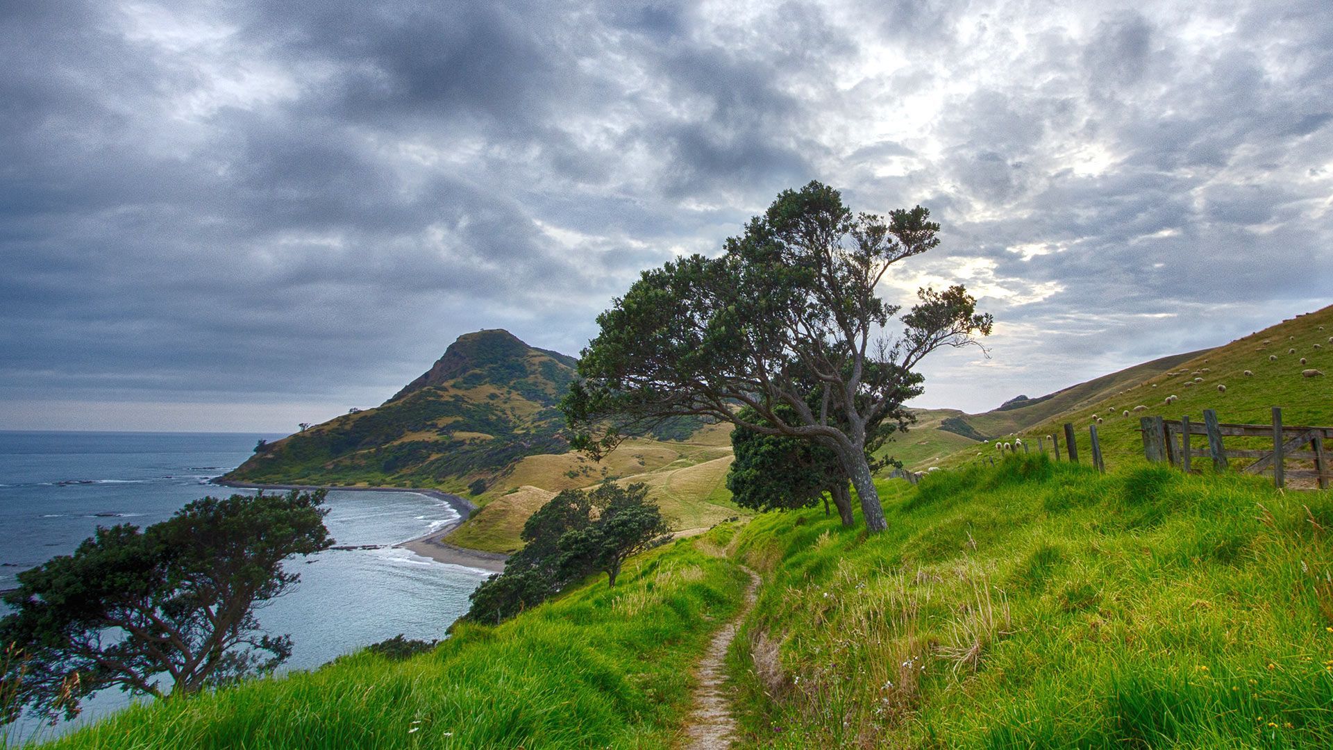 New zealand scenery wallpapers – Free full hd wallpapers for 1080p ...
