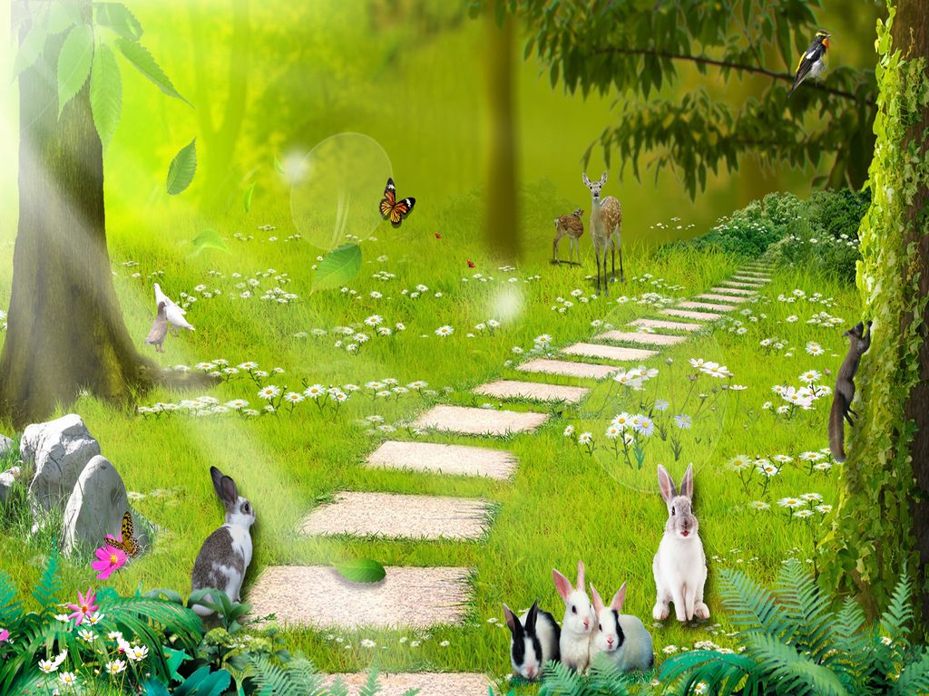 Enchanted forest wallpaper download the free new enchanted forest