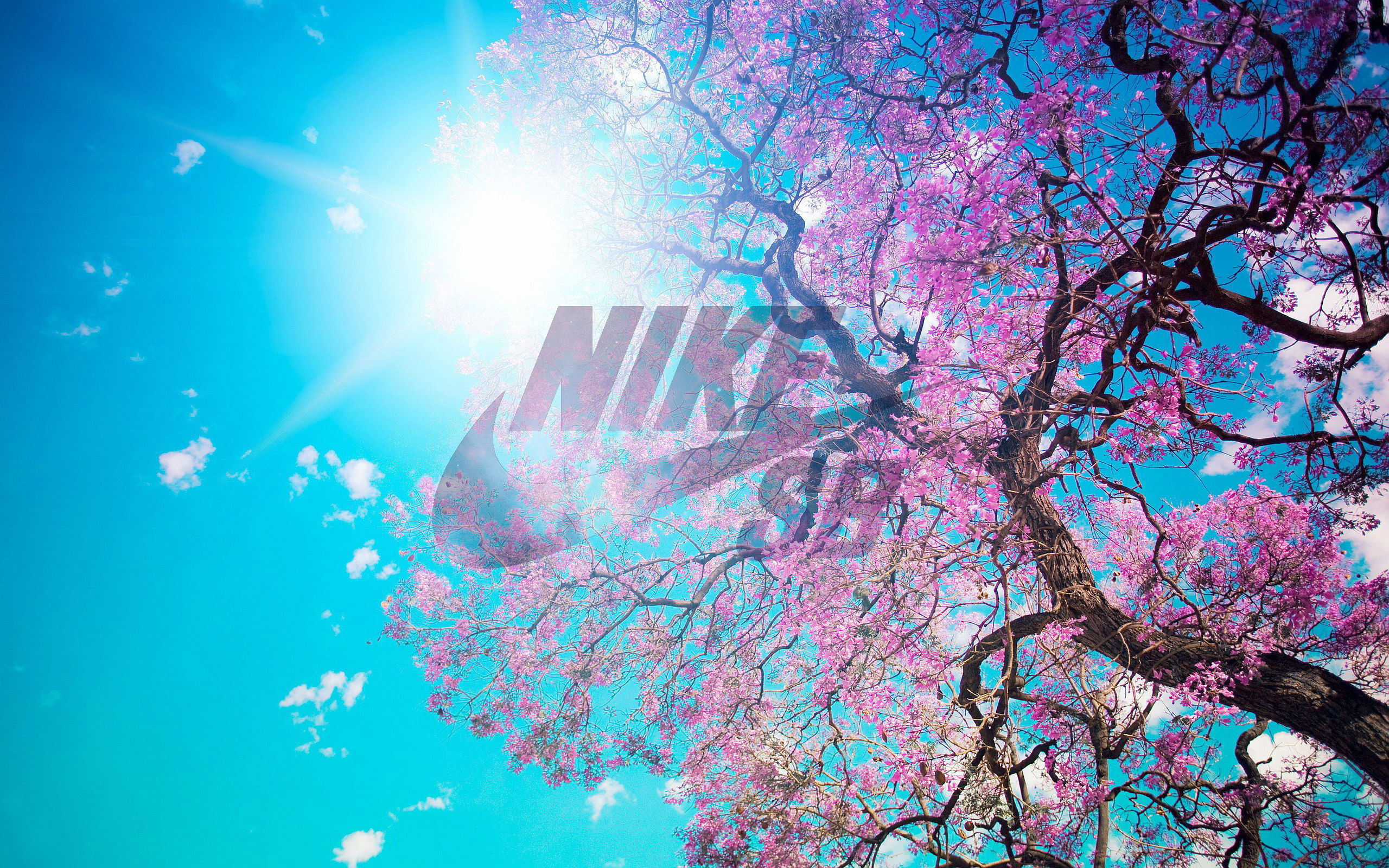 Nike SB Spring 2014 Rumors