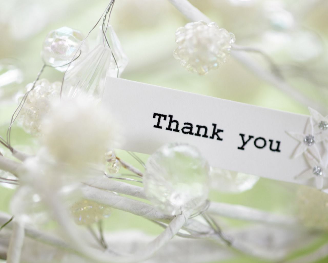 Thank You desktop free hd wallpapers Wallpapers Wide Free