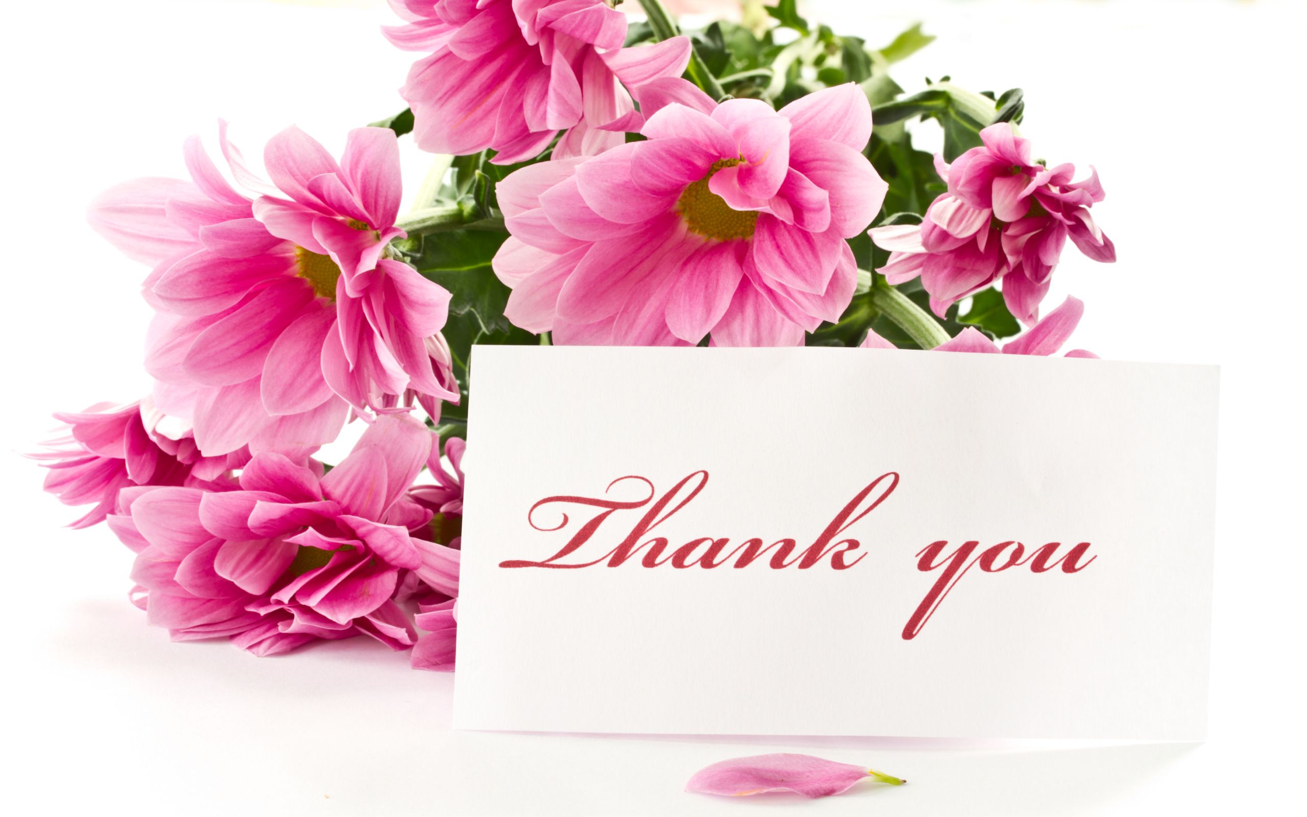 Thank You colorful text hd wallpapers Wallpapers Wide Free