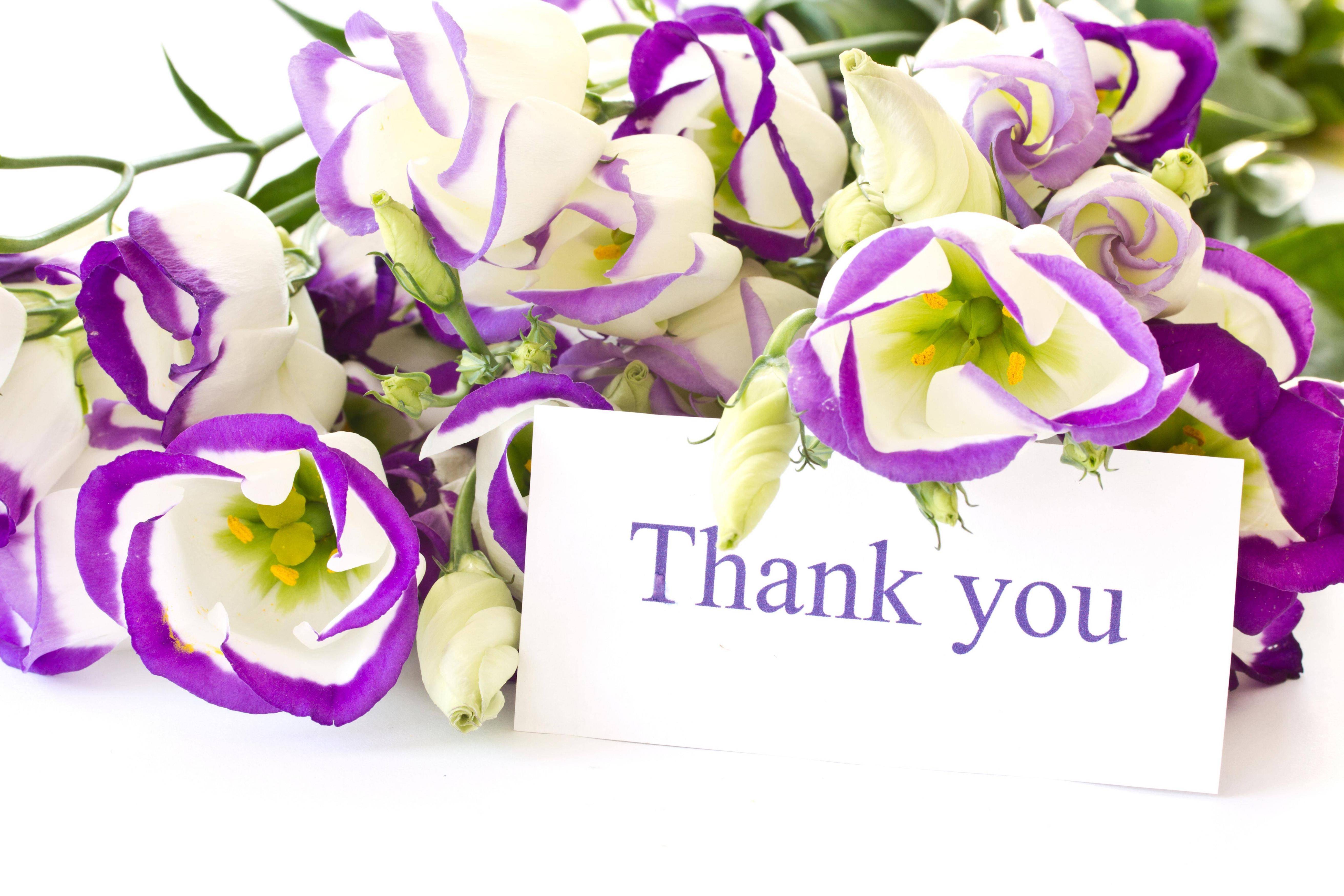 Thank You With flower HD Image Wallpaper free pics
