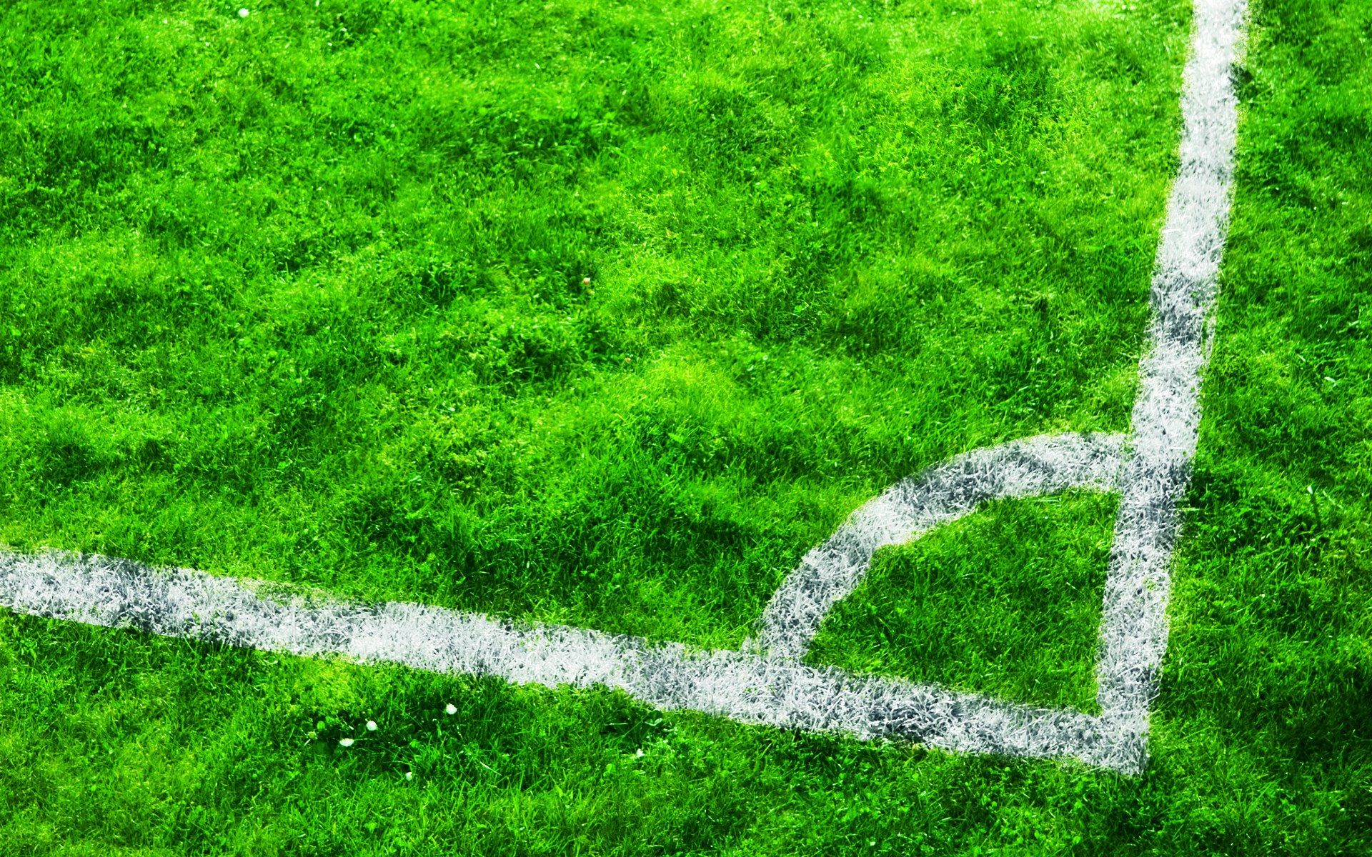 Wallpaper green, grass, football, Green football field.